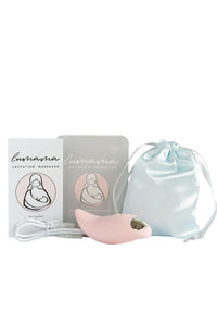 Massager for mastitis while breastfeeding with charger and silk carry case